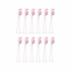 Budget ✔️ Ailoria SHINE BRIGHT Extra Clean Tête De Brosse De Rechange 12x - Accessoires Soins Dentaires 😉