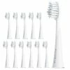Budget 💯 Ailoria SHINE BRIGHT Extra Clean Tête De Brosse De Rechange 12x - Accessoires Soins Dentaires 🛒